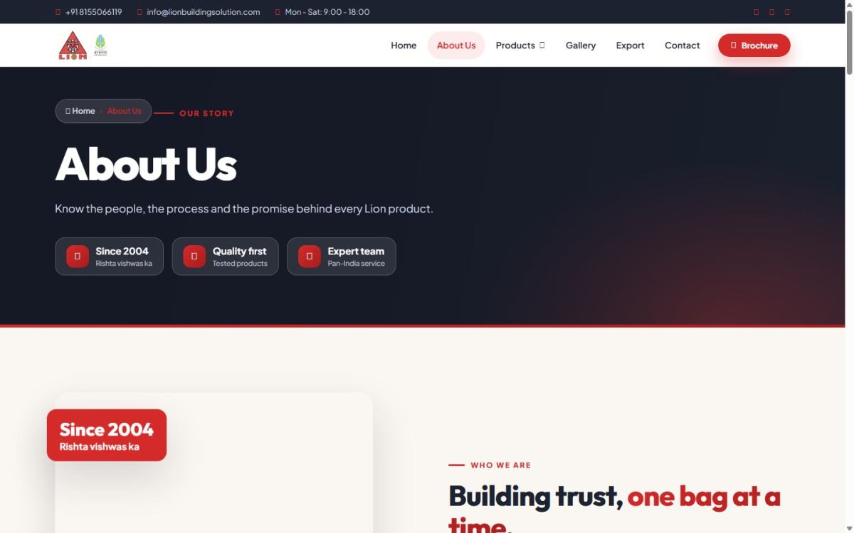 Lion Building Solution: About us
